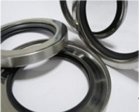 PTFE lip shaft rotary seals